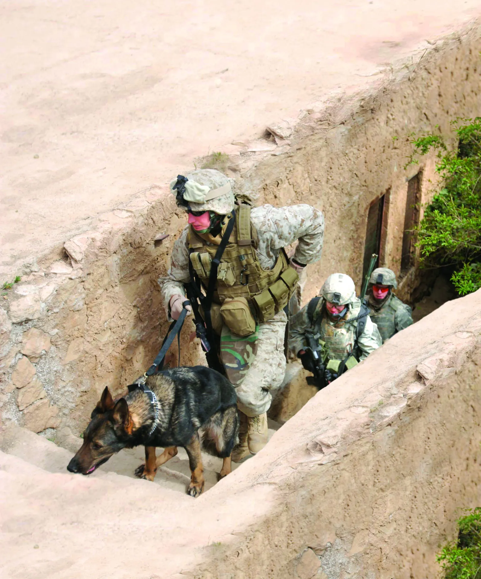 Soldiers with a working dog moving through a trench